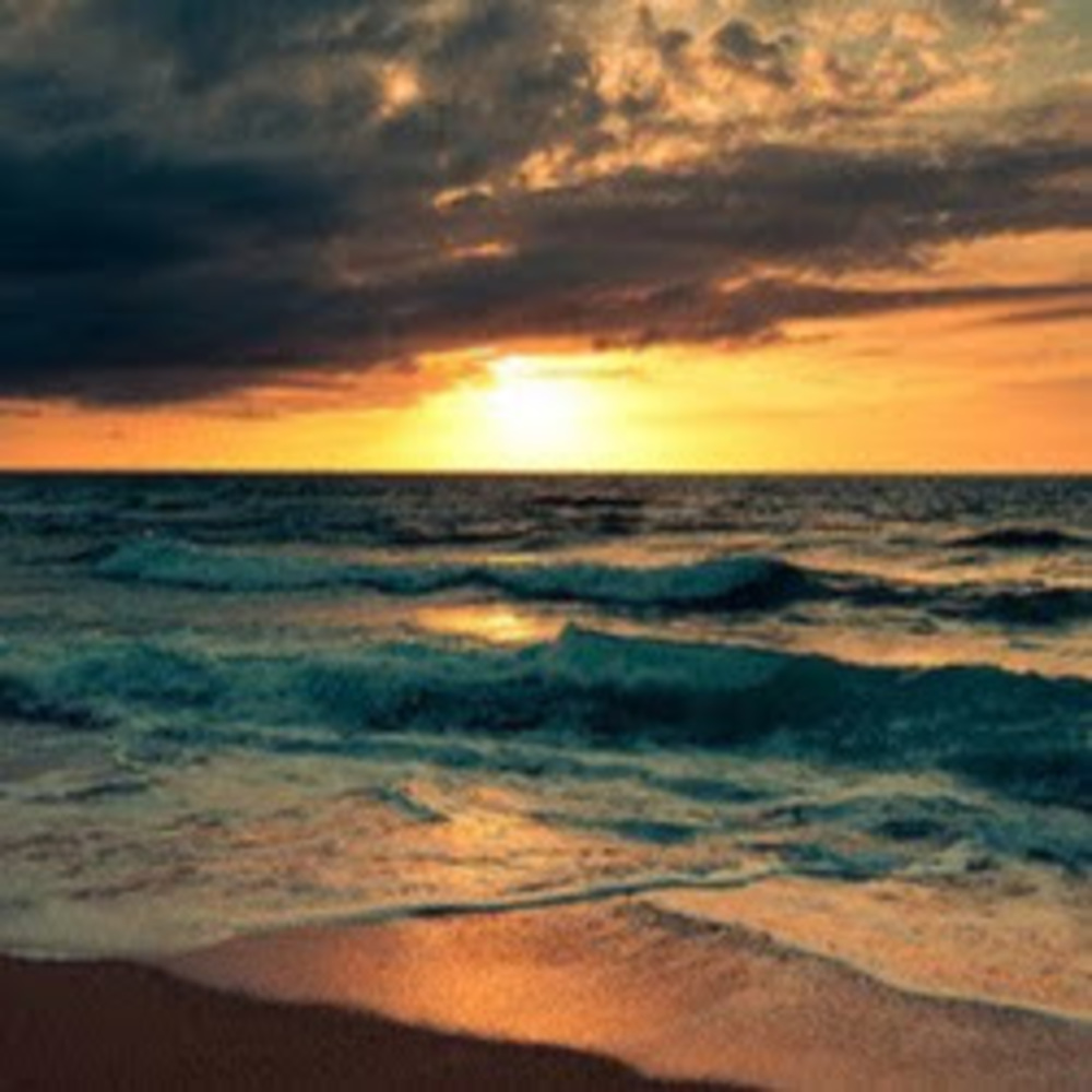 Meet your Posher, Sasha